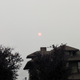 Illustration for article titled Todays fire smog report